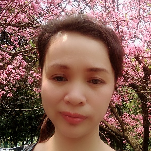 千里共蝉娟的照片