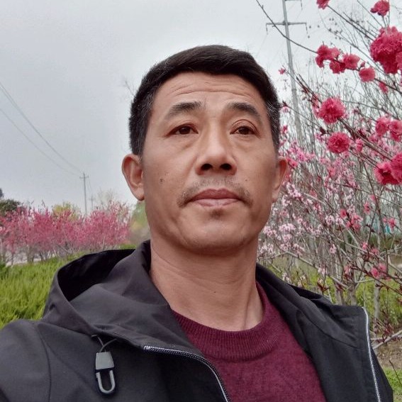 女王还现实的照片