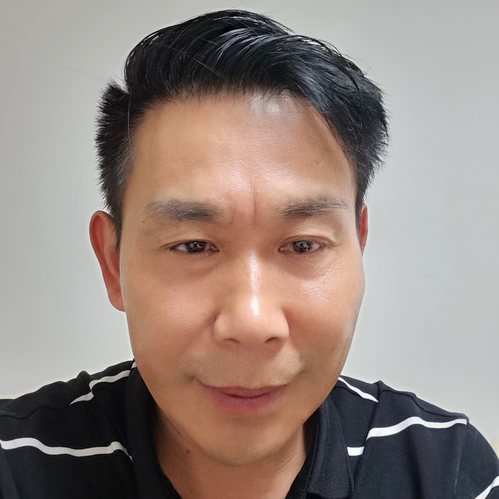 梦醒的雄狮凯旋门的照片