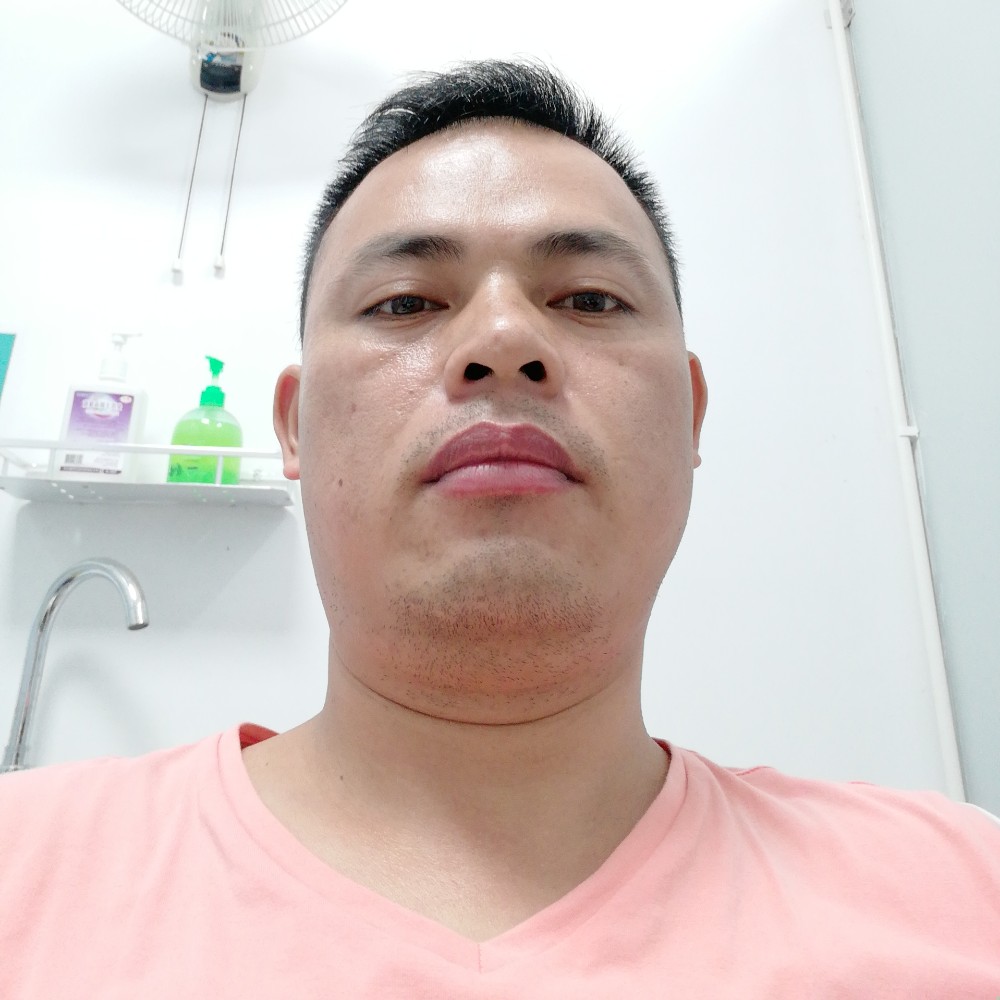小天鹅相许从容的照片