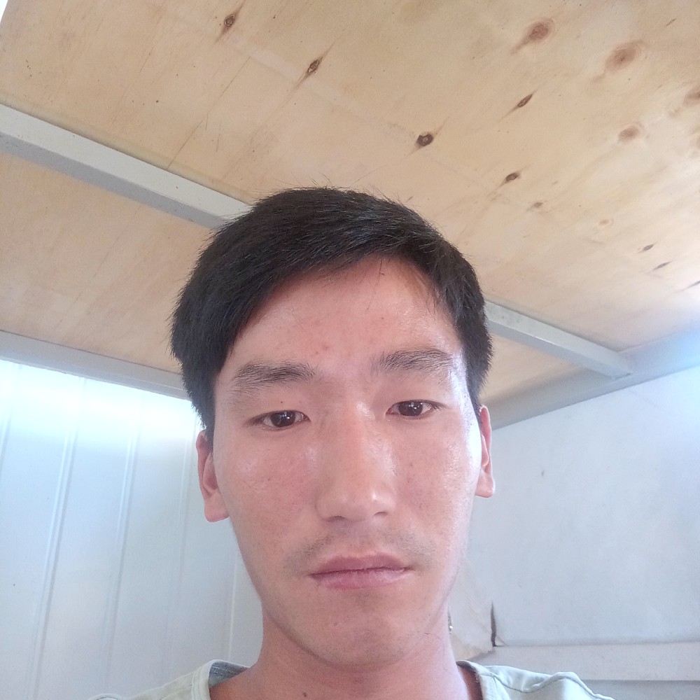 幽默回眸白羊的照片