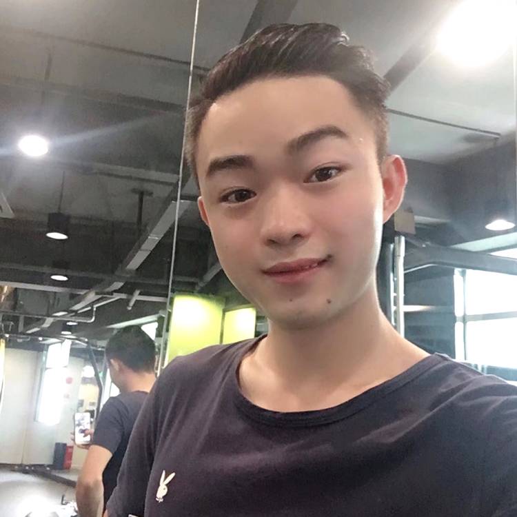 酷炫蹁跹树叶的照片