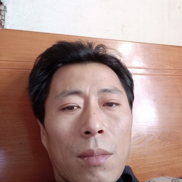 羞涩保卫小熊猫的照片