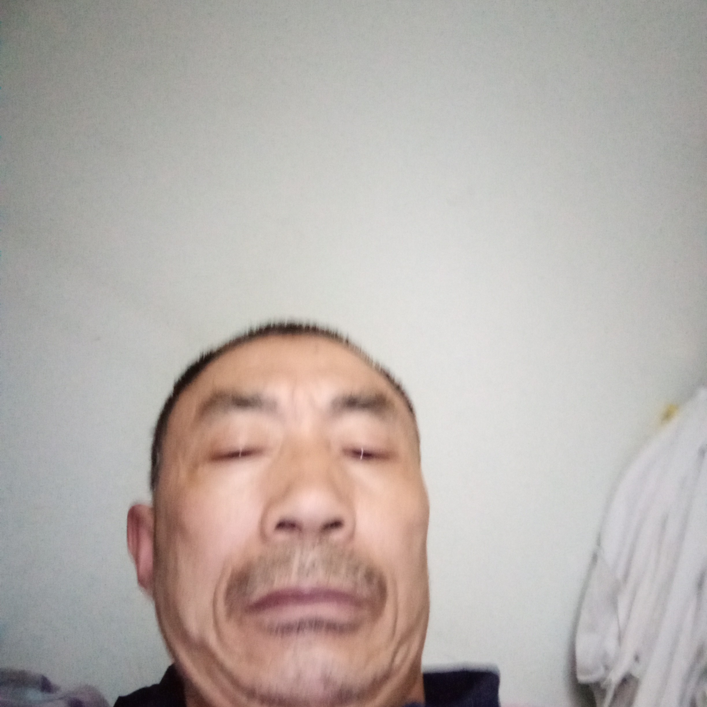 合适放弃鸵鸟的照片