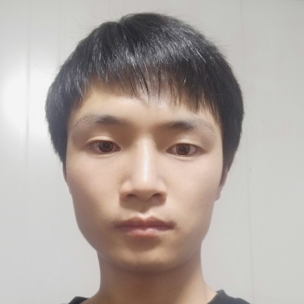 苹果向硬币的照片