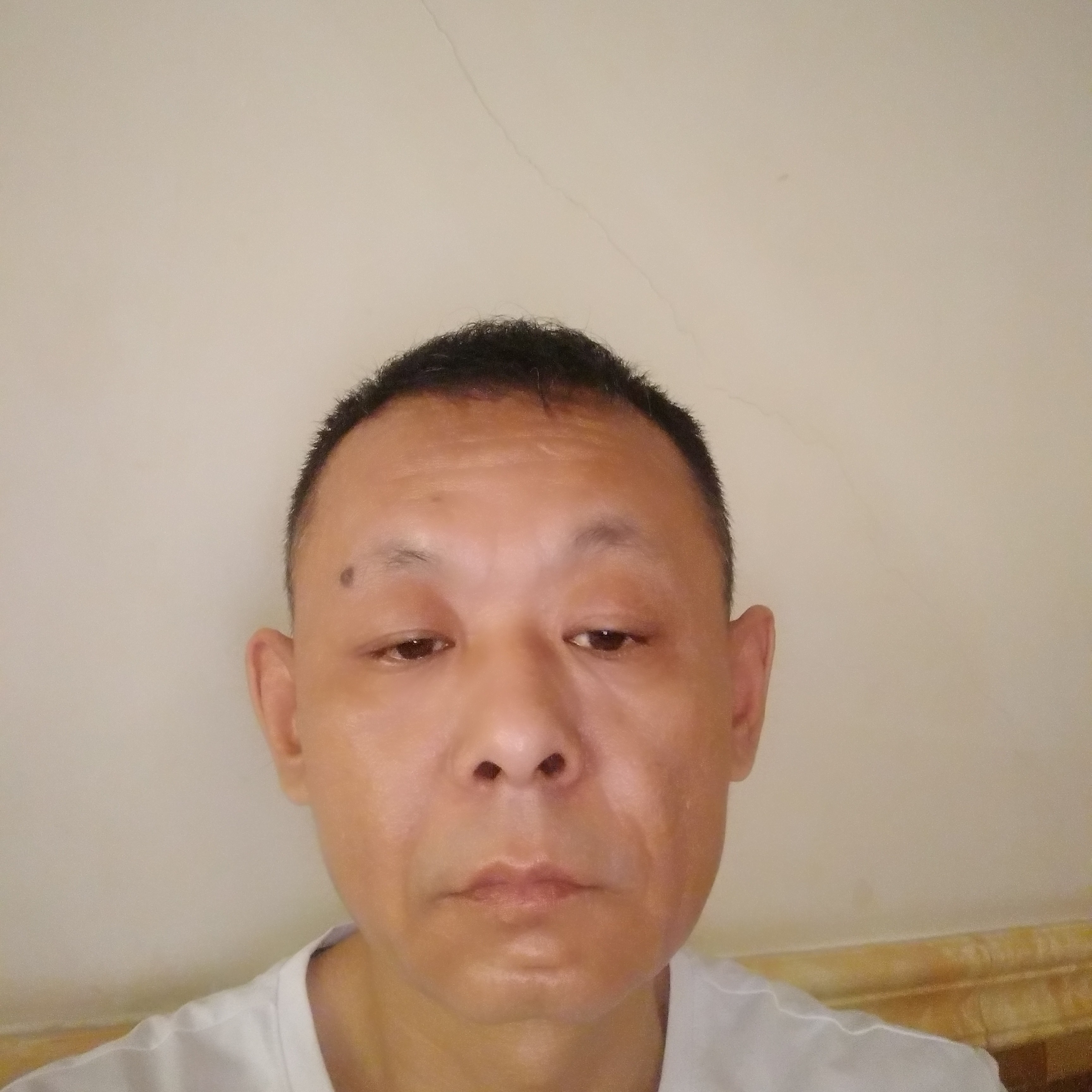 雪中锋的照片