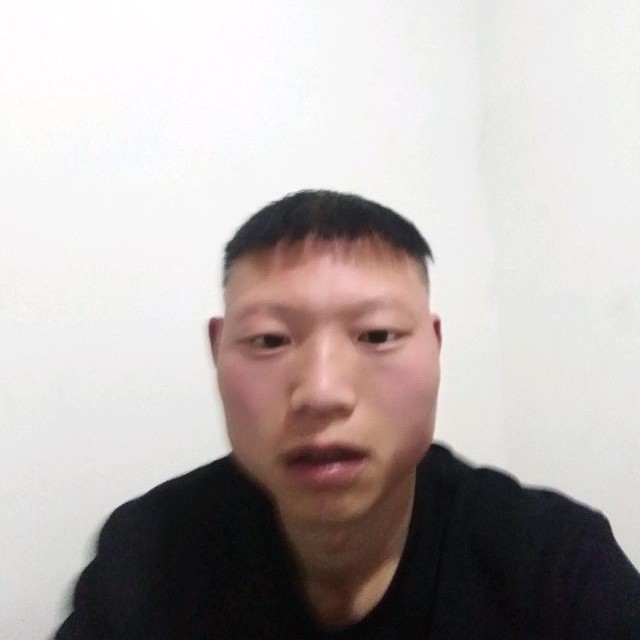 沉默和小松鼠的照片