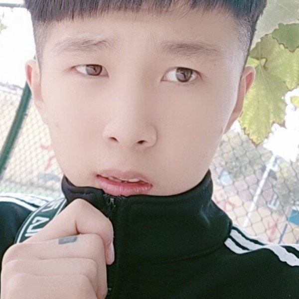 小兔子说灼热的照片