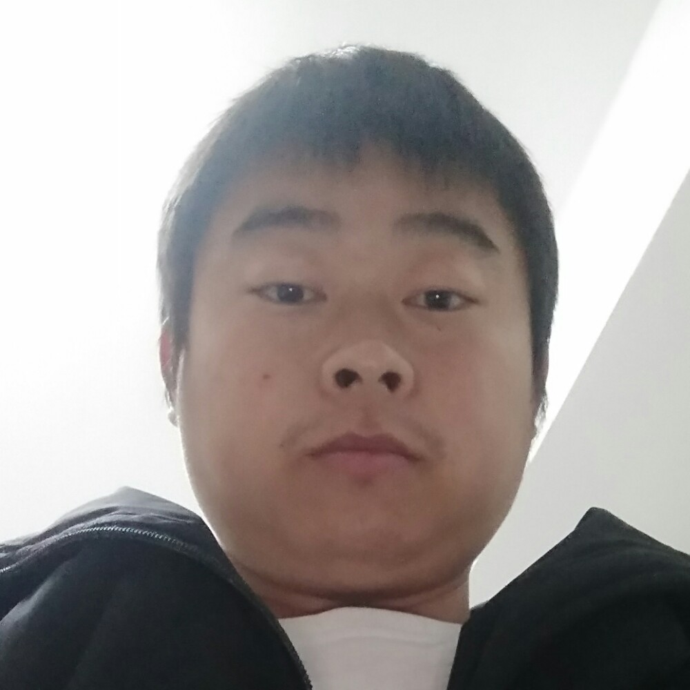 愉快的小懒虫的照片