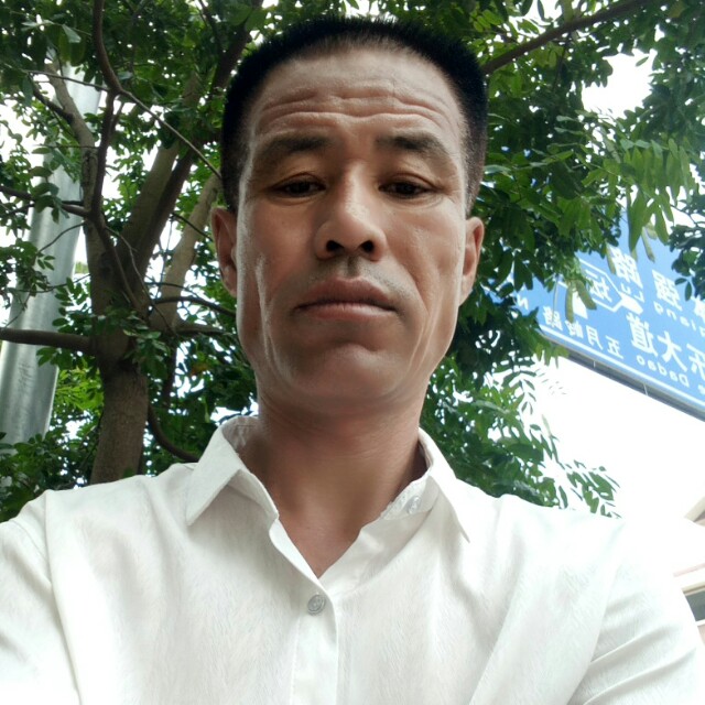 找个一起打拼的的照片
