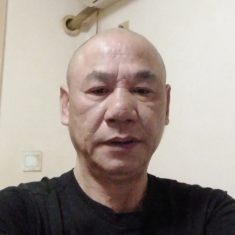康乃馨缓慢的照片