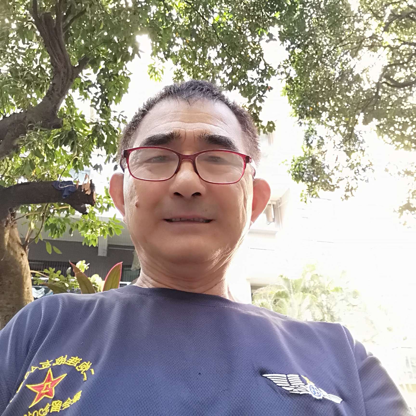 矮小凝眸钻石的照片