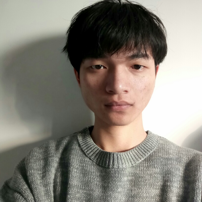 飘零的野狗的照片