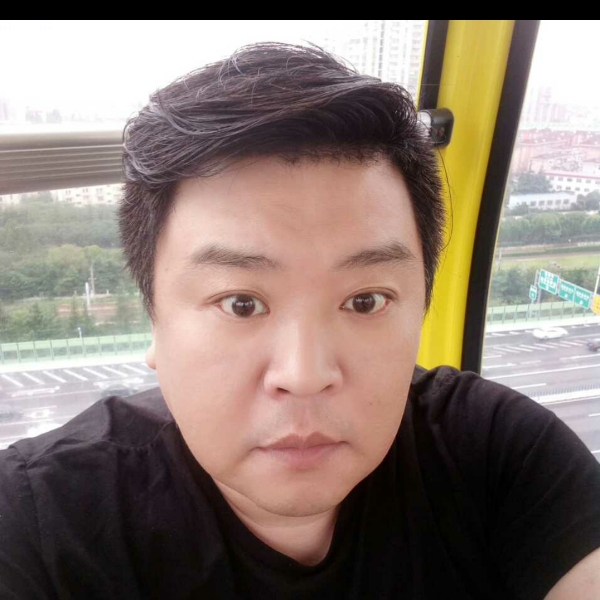 稳重小海豚的照片