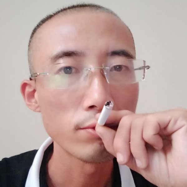 愉快的小蚂蚁的照片