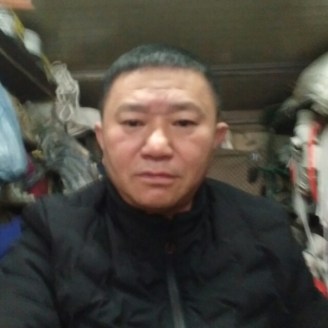 激昂母鸡的照片