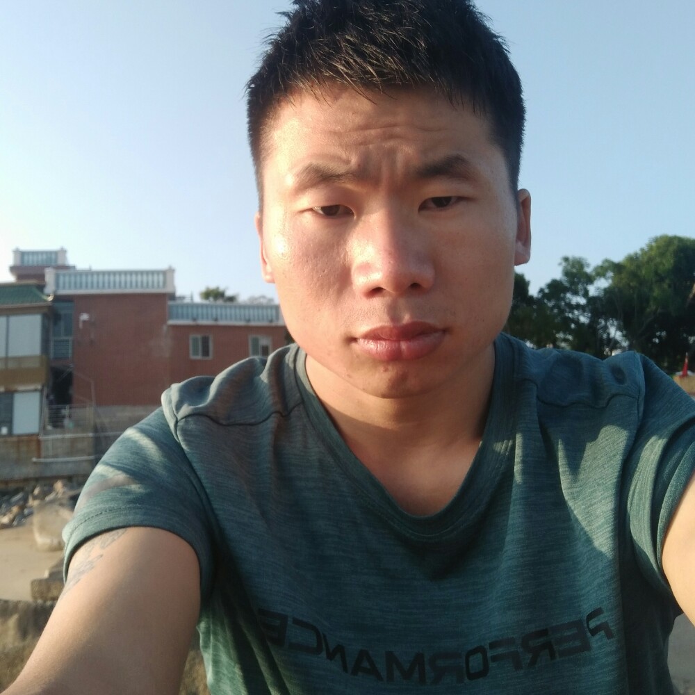 寂灭森槿的照片