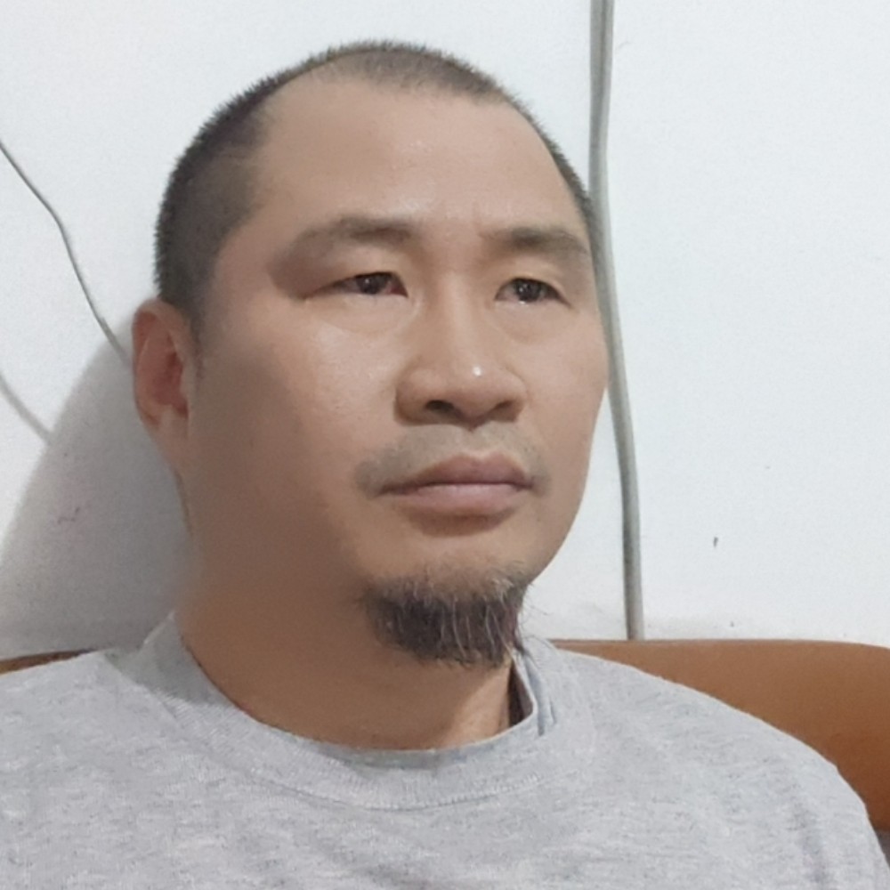 爱走路的猪的照片