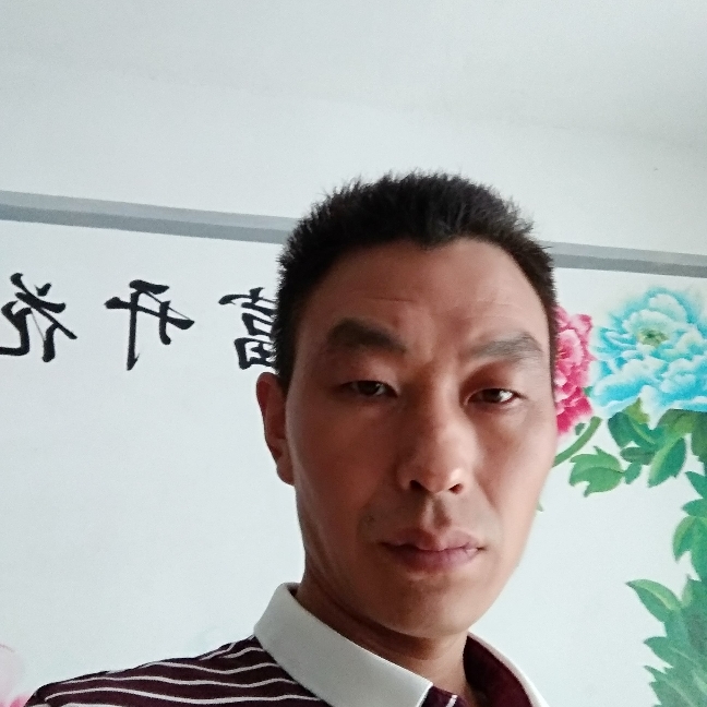 斑马邂逅美满的照片