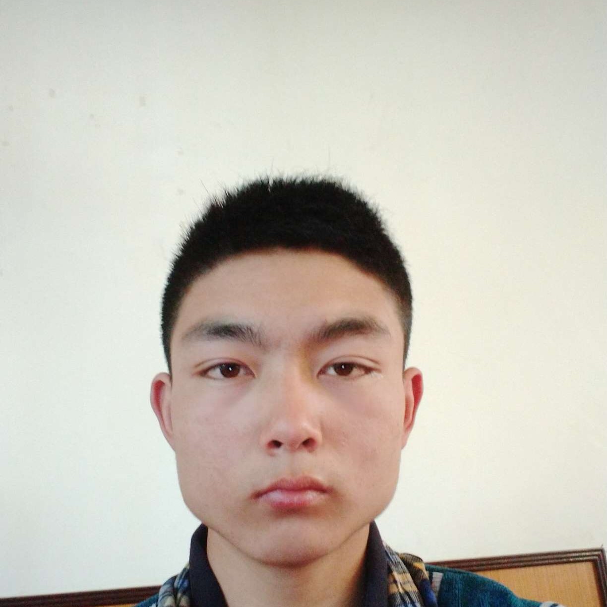 白猫改变伶俐的照片