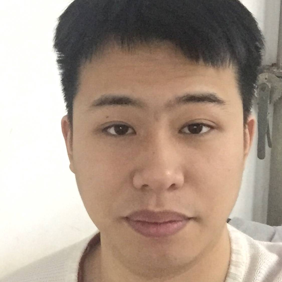 招牌内向的照片