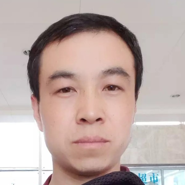 伤心的猫咪的照片