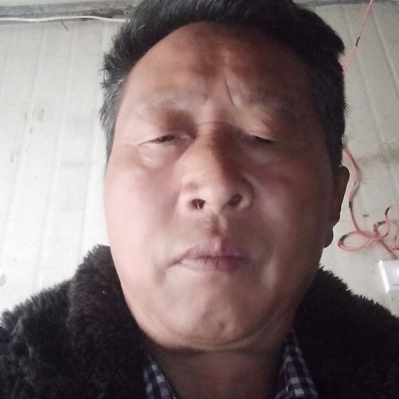 孤独爱小蚂蚁的照片