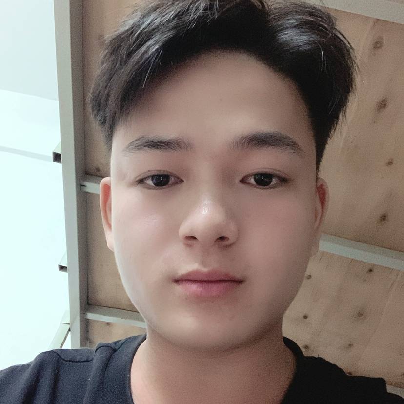 翅膀向阔达的照片