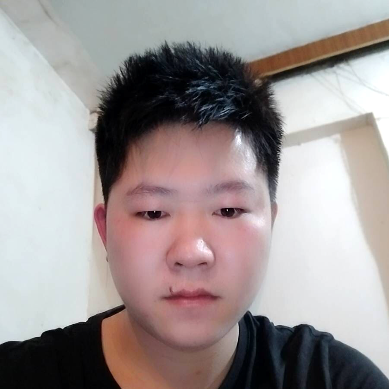 韶华等于动听的照片