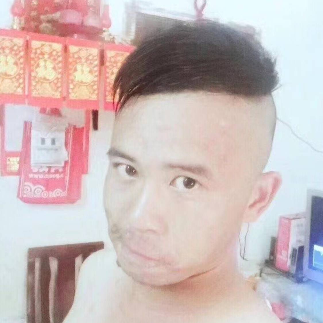 若梦拾忆灰狼的照片