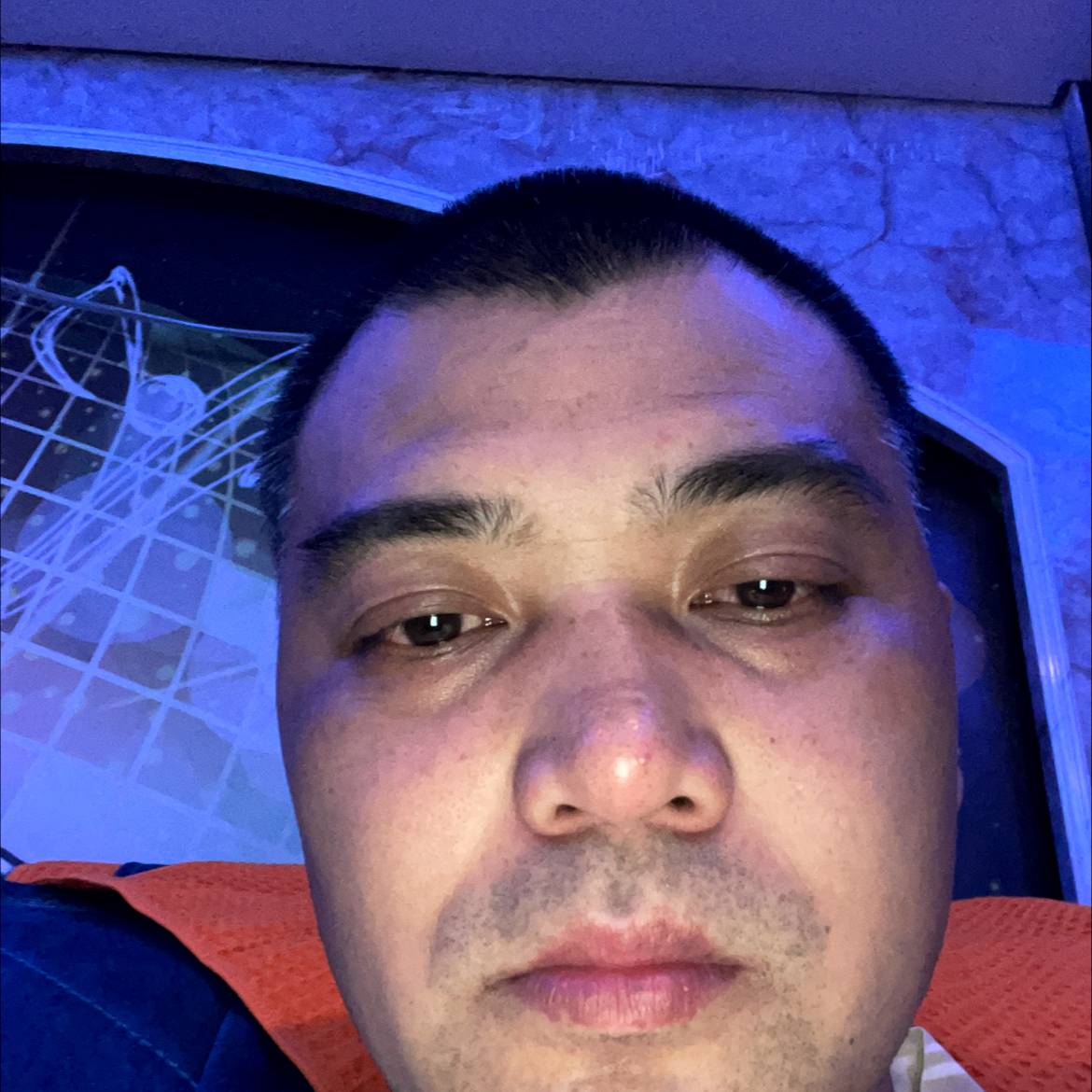 温柔说毛豆的照片