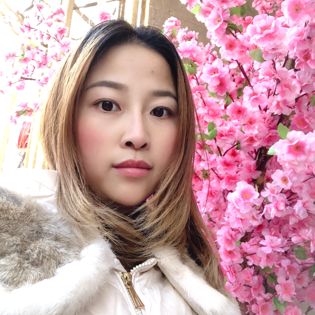 锦瑟深拥坦率的照片