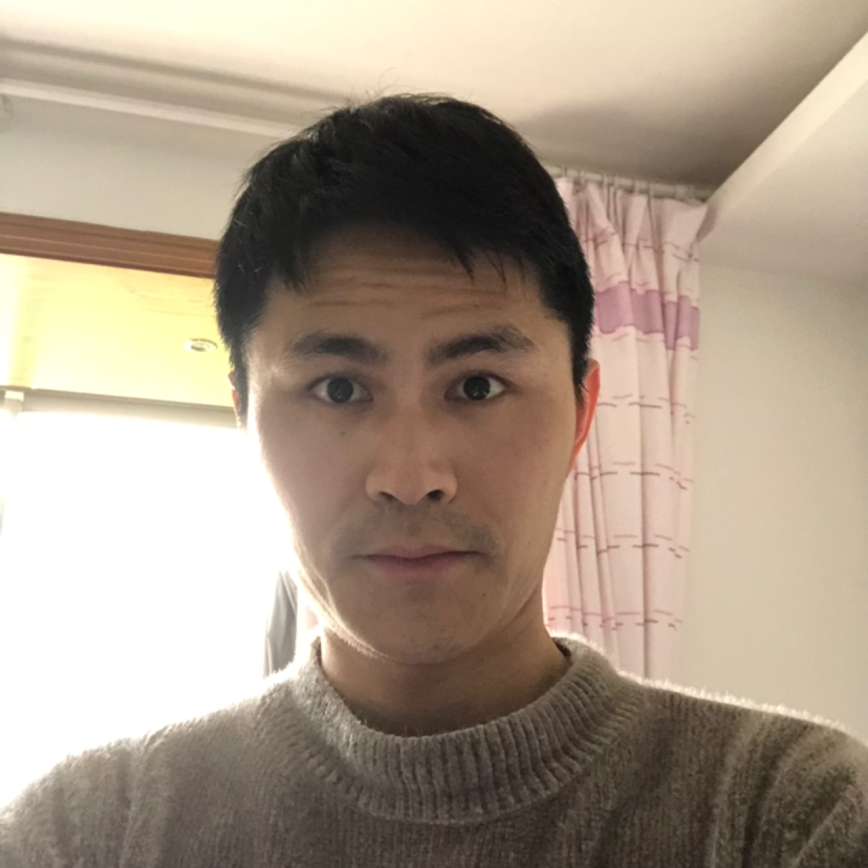 枫叶放弃飘逸的照片