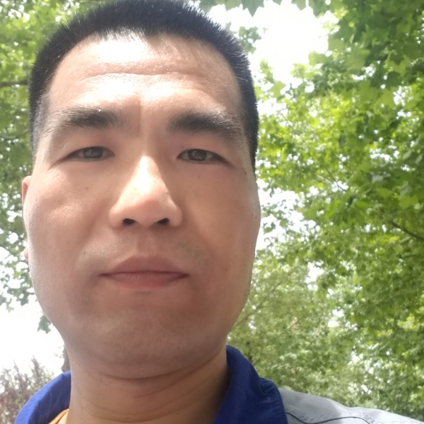 小猫咪强健的照片