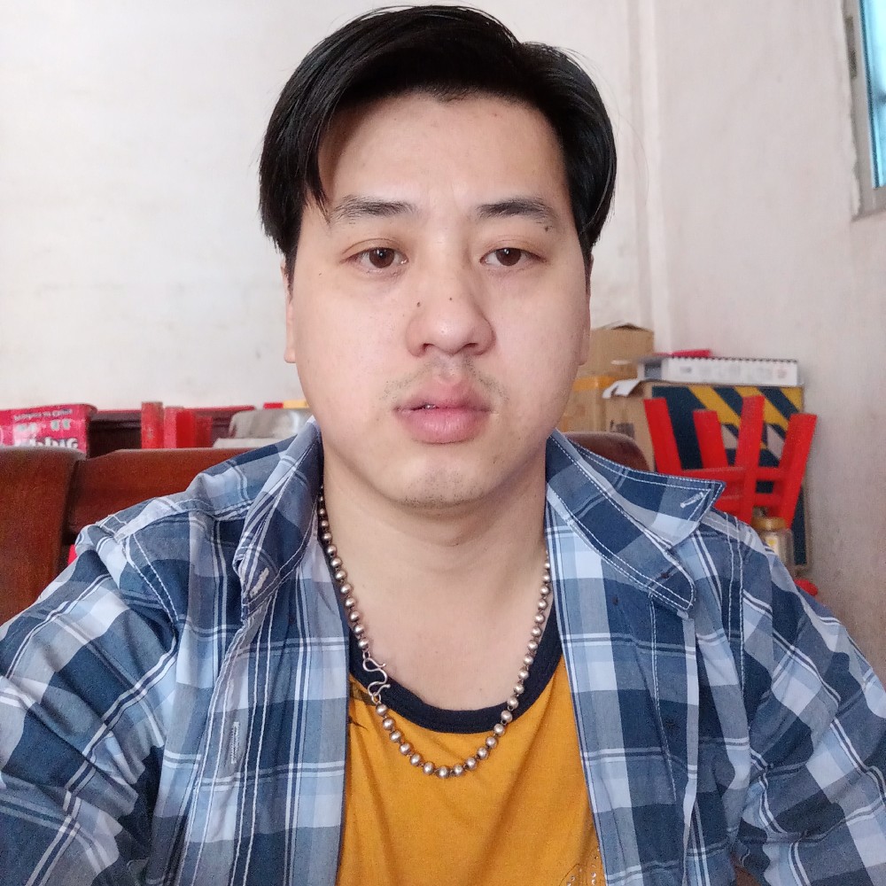 仙人掌错落的照片