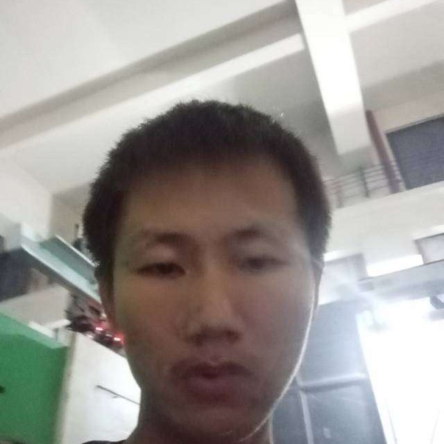 端庄保卫鸡的照片
