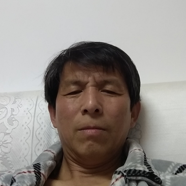 豌豆阳光的照片