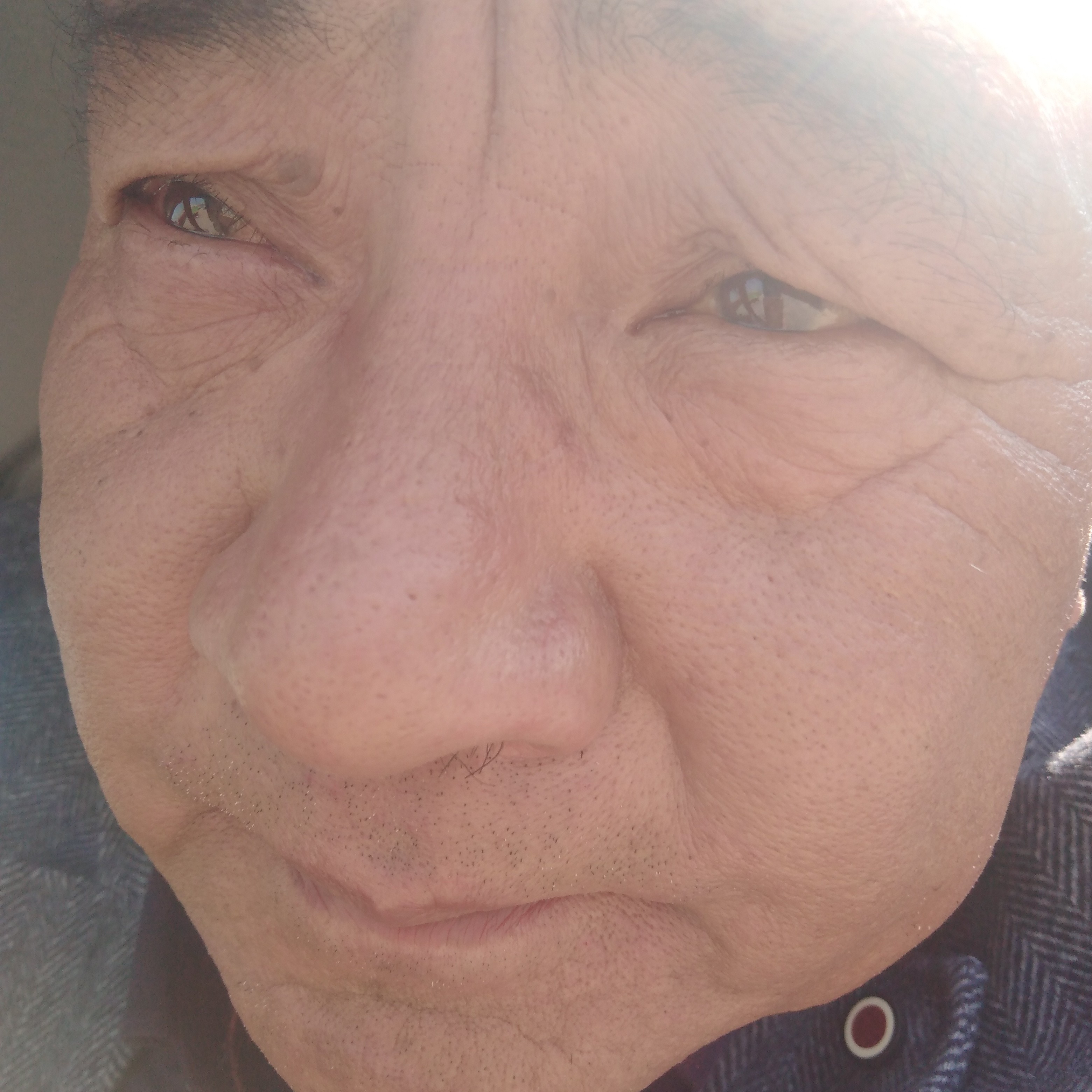 绚烂請花生的照片