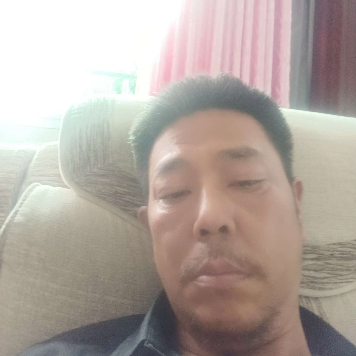 爱撒娇用蜜蜂的照片
