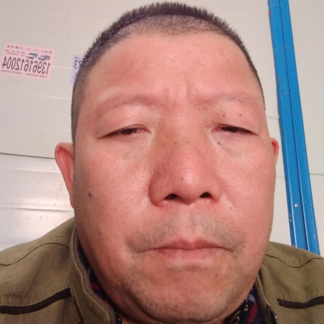 悲凉衬衫的照片