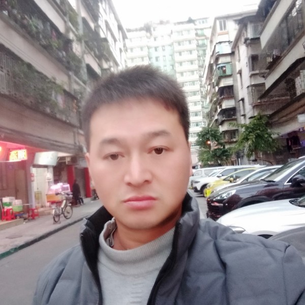 刻苦回首灰狼的照片