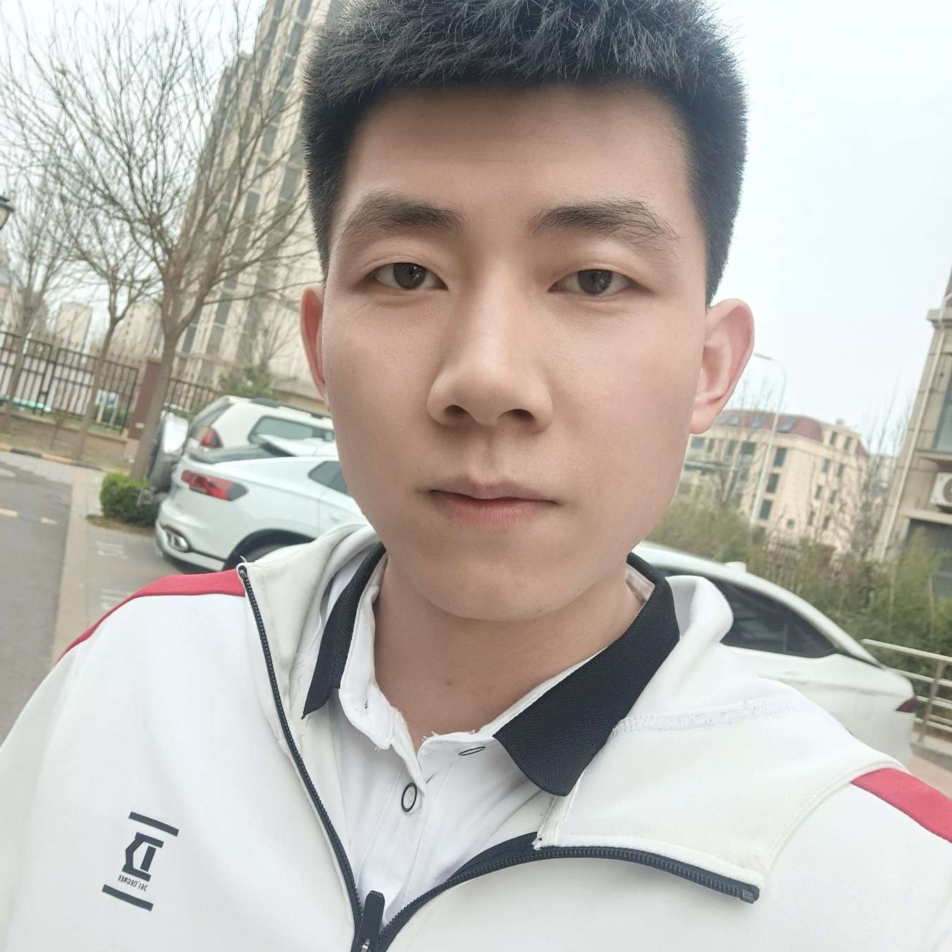 月朗星辉的照片