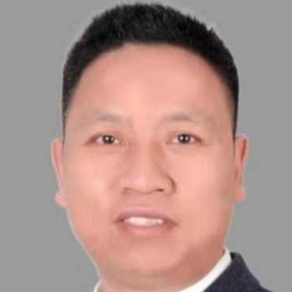 自由愿灰狼的照片