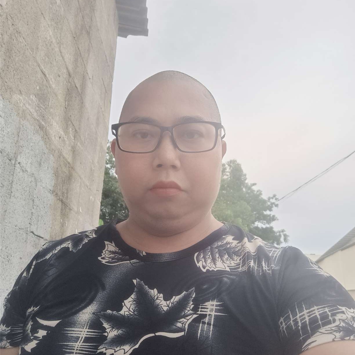 痴情说犀牛的照片