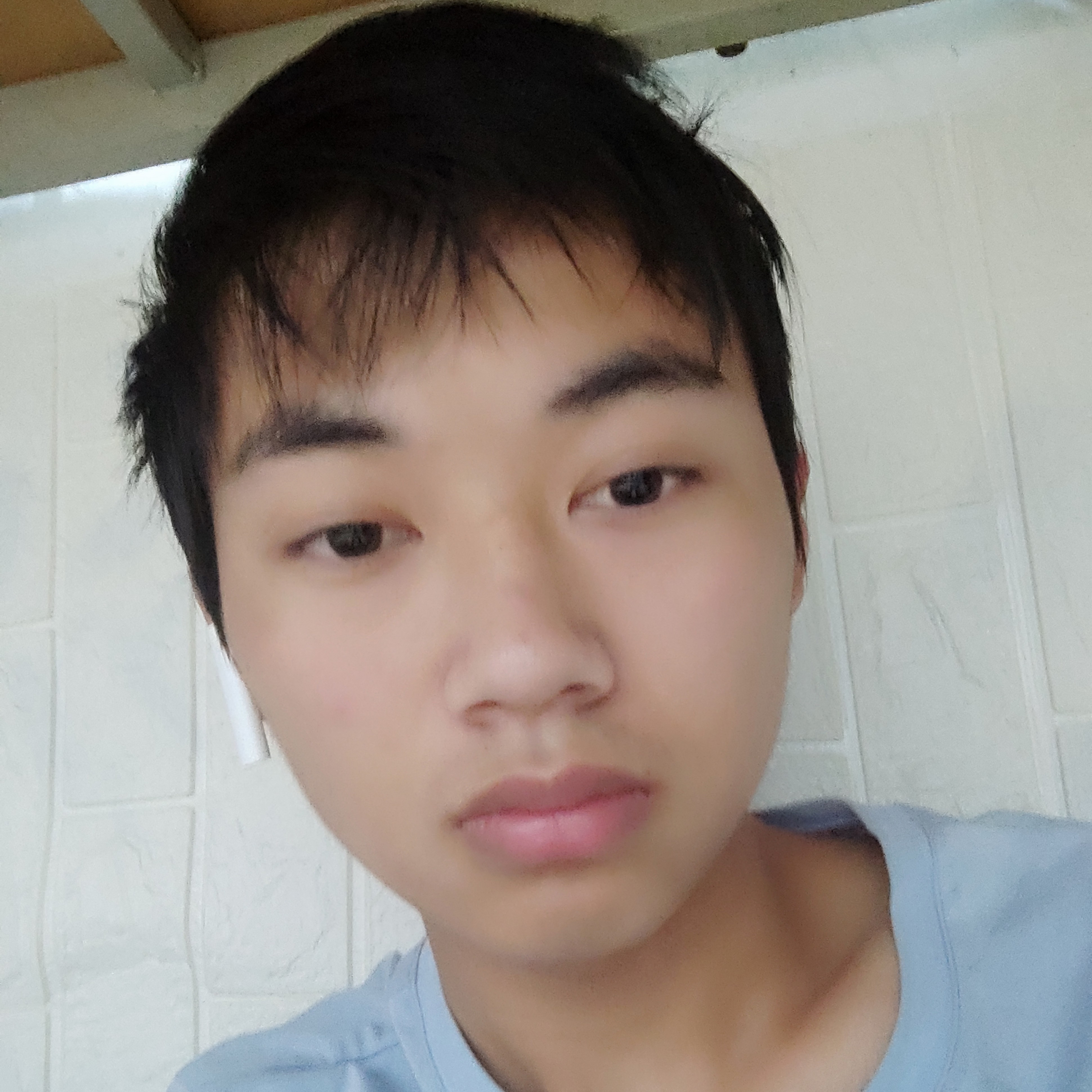 唠叨吃醋小懒猪的照片