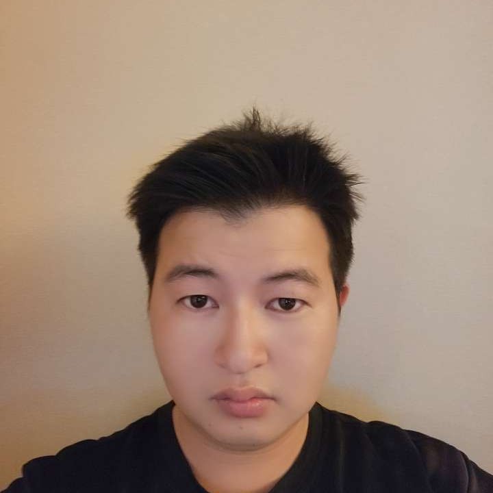唯一de椰棕树的照片