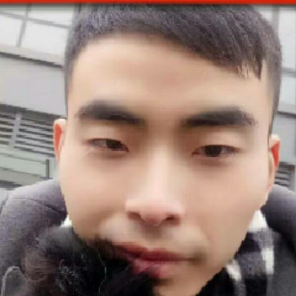 一生情愿为你受伤的照片