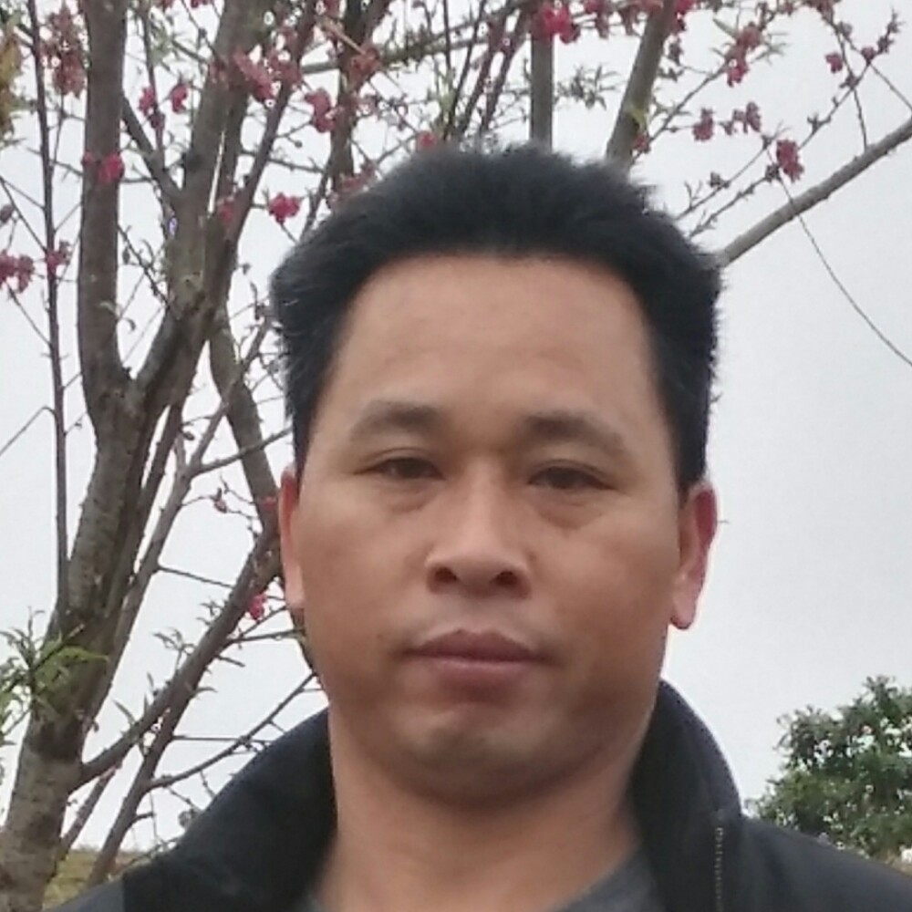 煎蛋打野性的照片