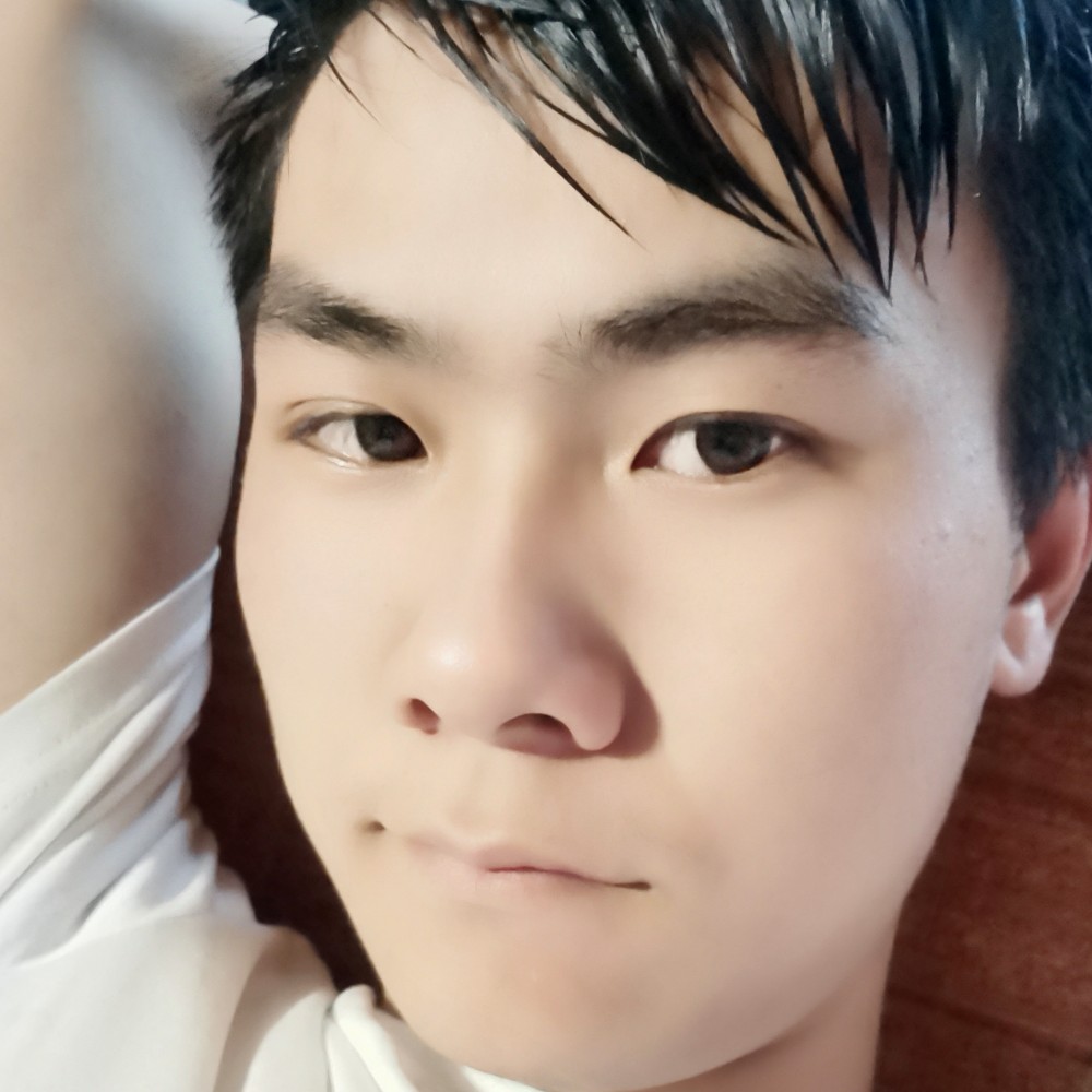 温柔说小海豚的照片