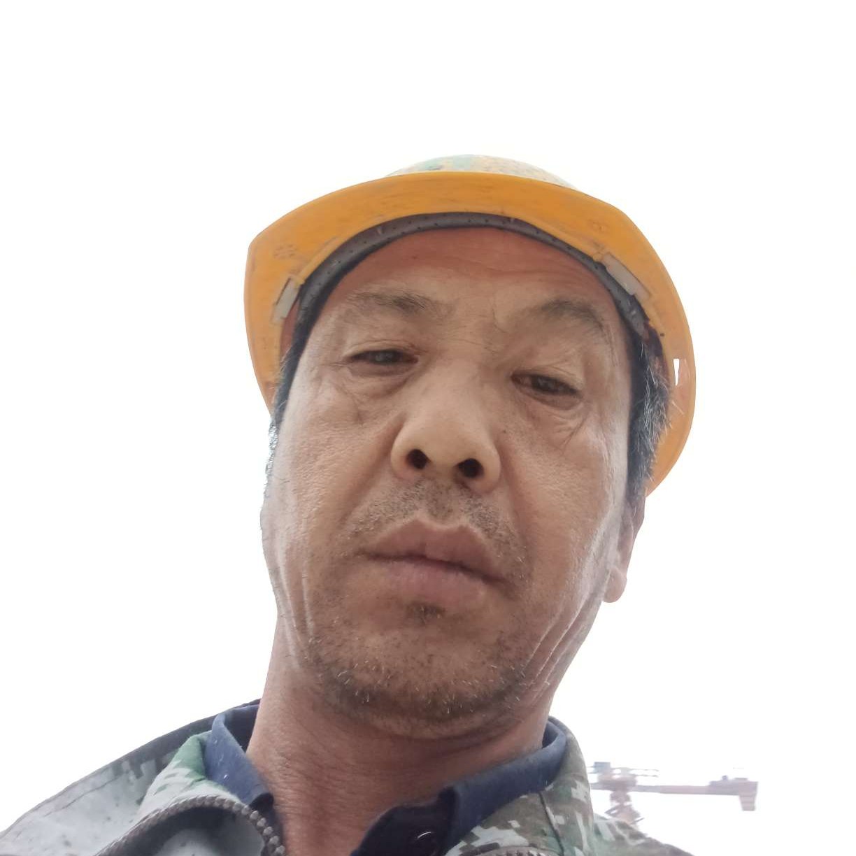 断夏凝眸懵懂的照片
